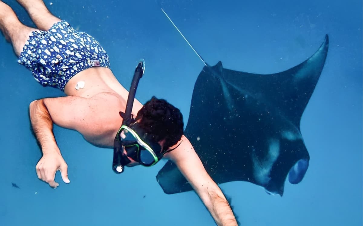 Manta Point Underwater